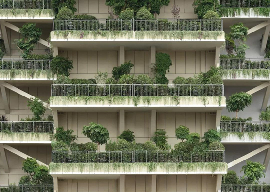 中國首個第四代住宅“花園樣板間”首次對媒體開放