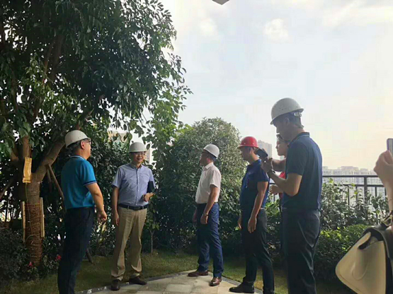 四川天府新區房地產行業協會會長、四川地高企業管理有限公司總經理等一行去參觀七一國際廣場