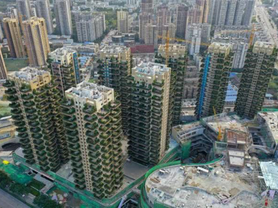 住建部領導和專家考察中國首個“第四代綠色生態住房”示范項目